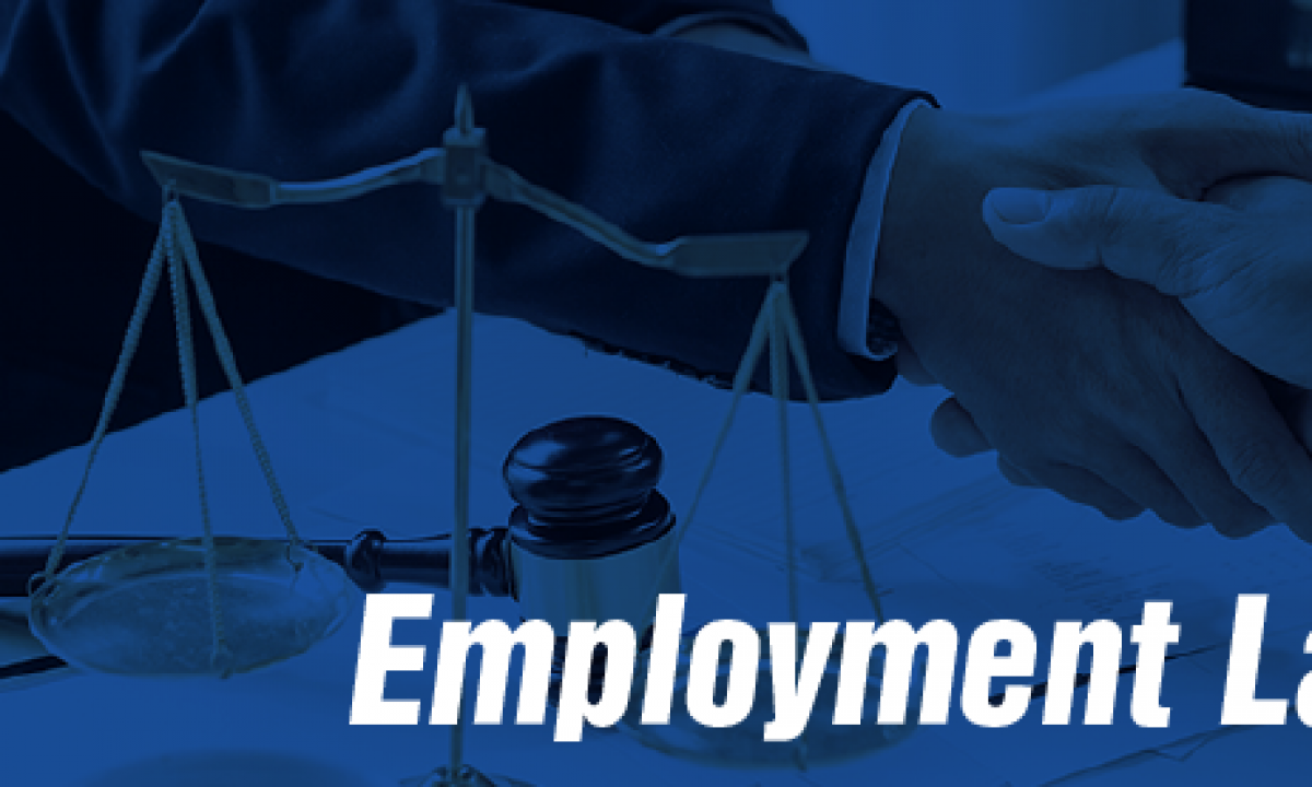 Employment Lawyers In Toronto Diamond And Diamond