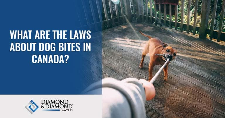 are dogs considered property in canada